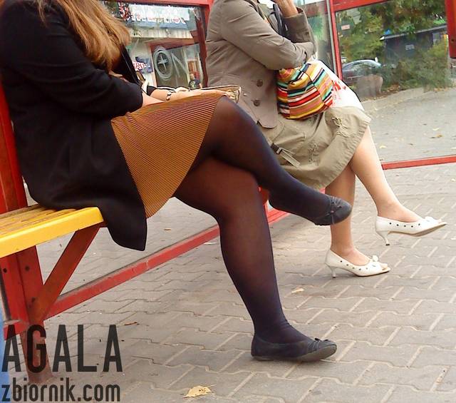 DSC04527cz.jpg - AGALA