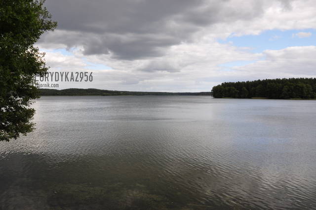 jeziorko - Eurydyka2956