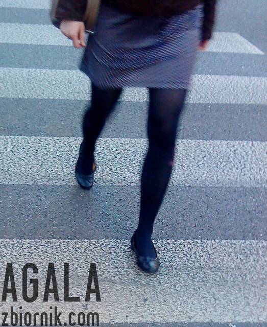 DSC04567odj.jpg - AGALA