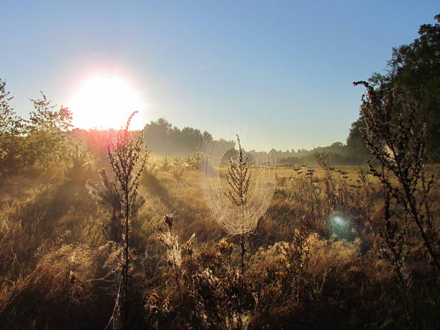 IMG_2898.JPG - wodnik50