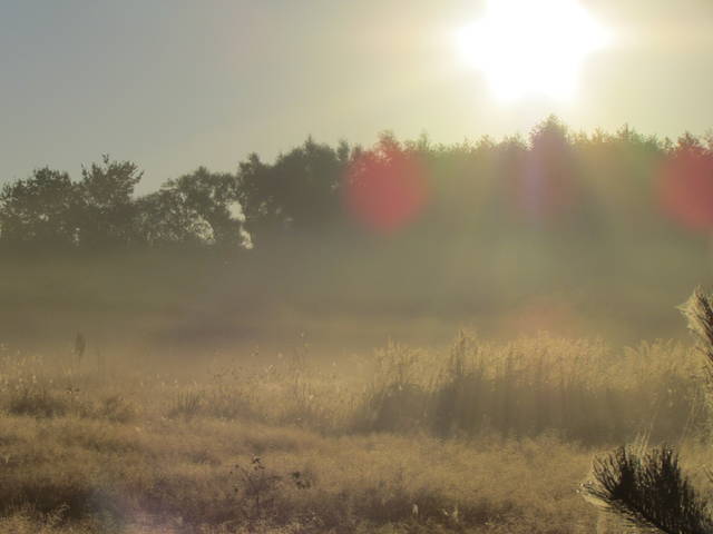 IMG_2890.JPG - wodnik50