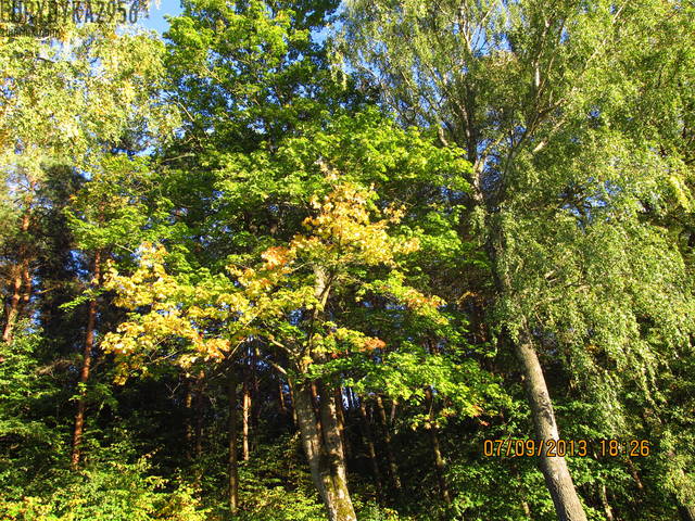 pięknie - Eurydyka2956