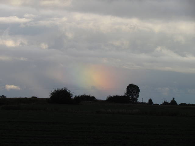 IMG_2981.JPG - wodnik50