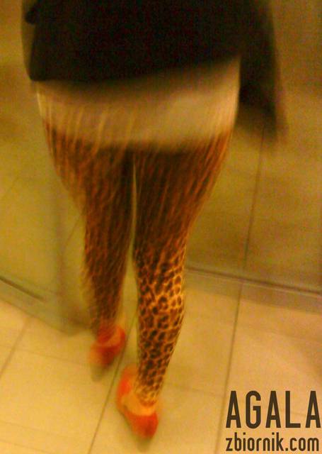 DSC04636L.jpg - AGALA