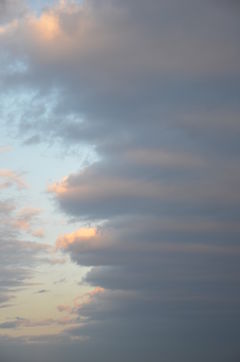 DSC_0010.JPG