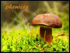 w końcu są ... hehe