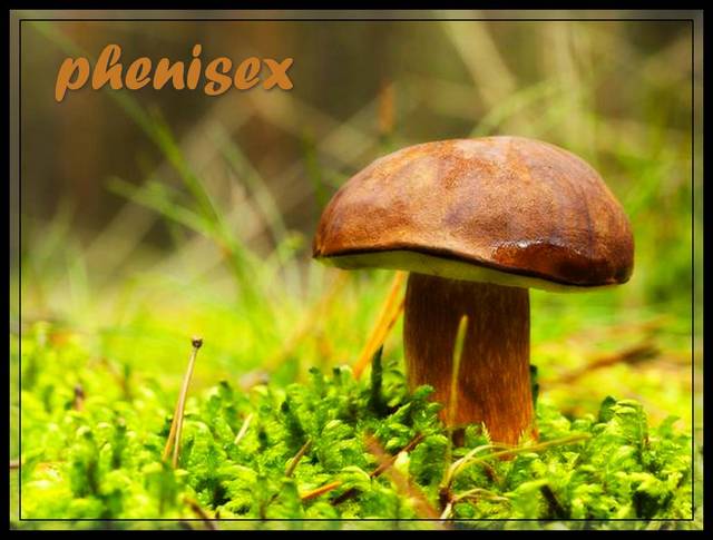 w końcu są ... hehe - phenisex