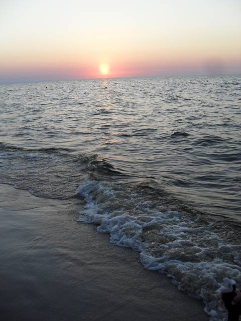 Plaża w Piaskach - fikusek16