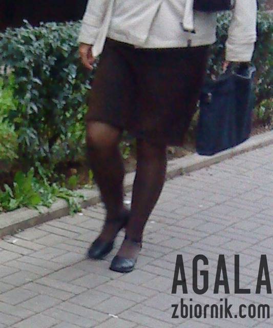 DSC04661v.jpg - AGALA