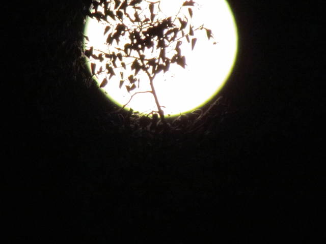 IMG_3285.JPG - wodnik50