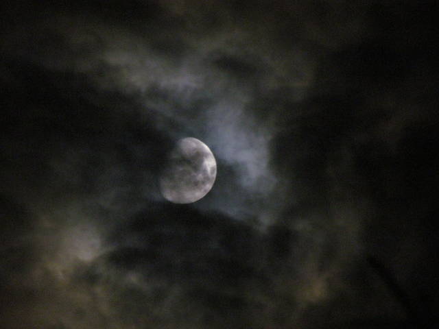 IMG_3240.JPG - wodnik50