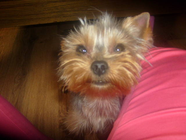 157.JPG - thomas1977