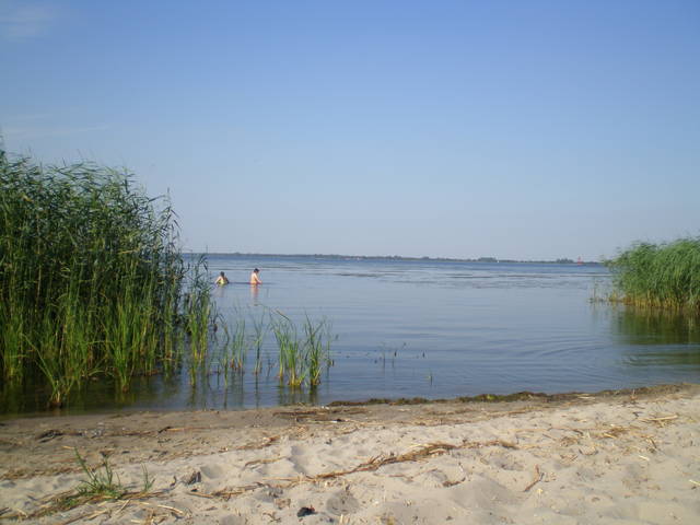 P7120002.JPG - arnoldd69