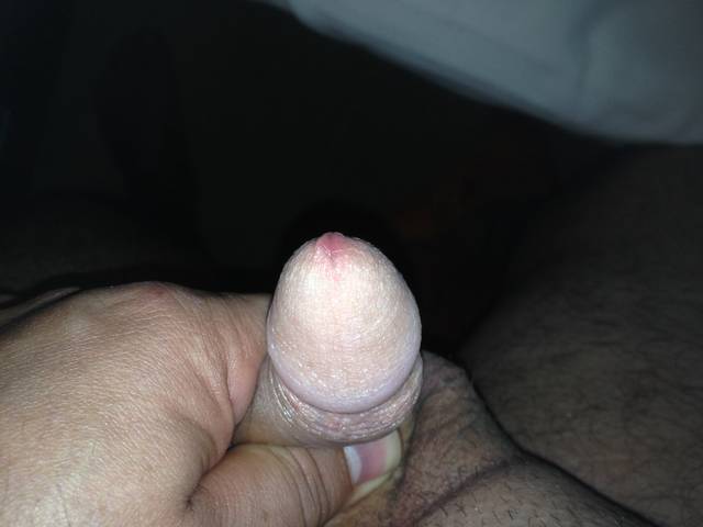 Volish34