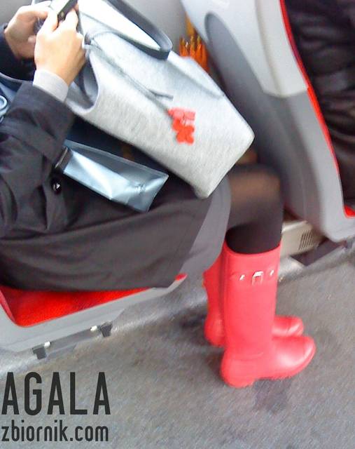 DSC04705cz.jpg - AGALA