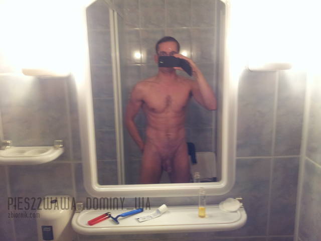 Pies22wawa_dominy_wa