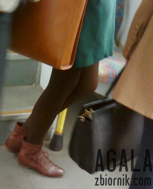 DSC04772kol.jpg - AGALA