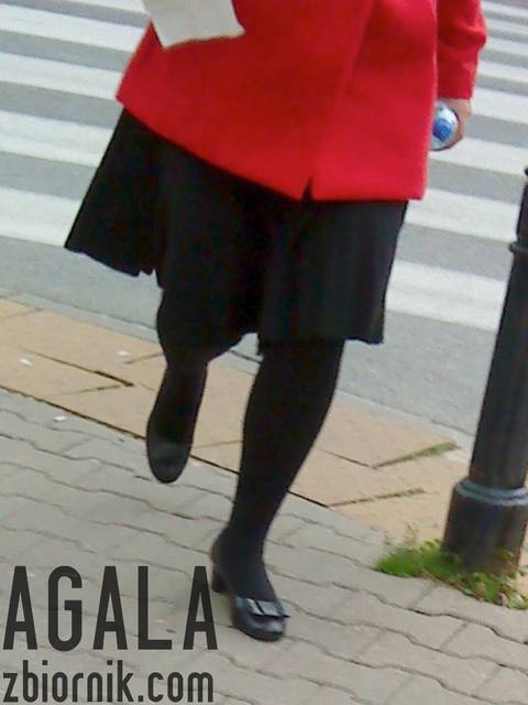 DSC04768cz.jpg - AGALA