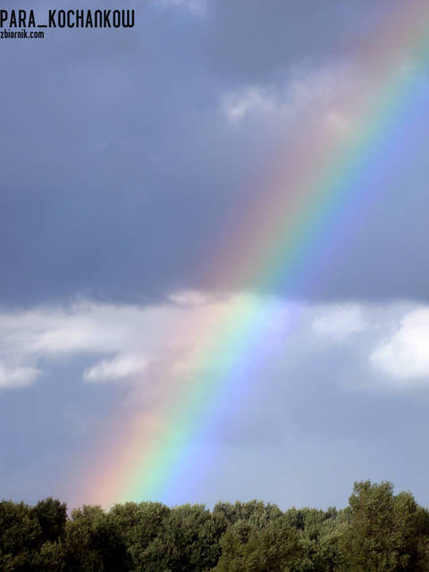 Kolory lata - para_kochankow