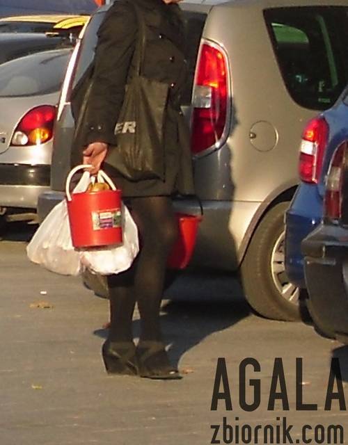 SDC10174cz.jpg - AGALA