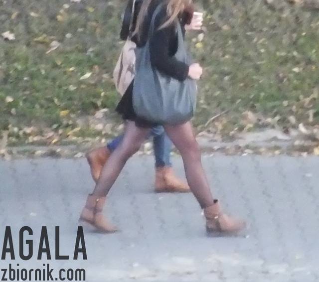 DSCF4844cz.jpg - AGALA