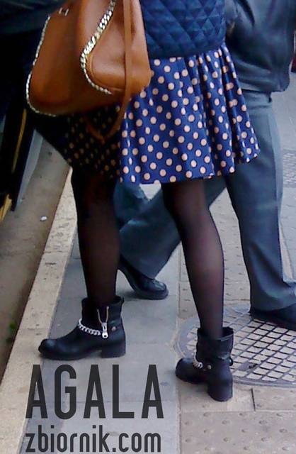 DSC04880cz.jpg - AGALA