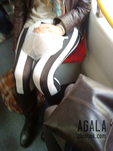 DSC04867L.jpg - AGALA