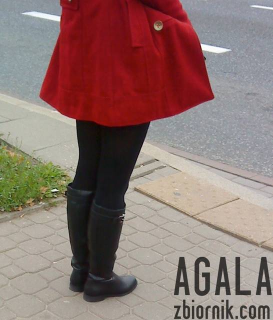 DSC04849cz.jpg - AGALA