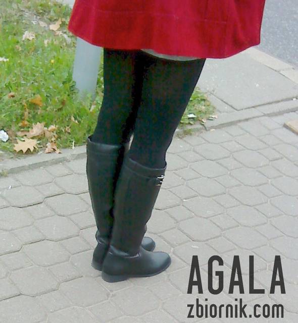 DSC04848cz.jpg - AGALA