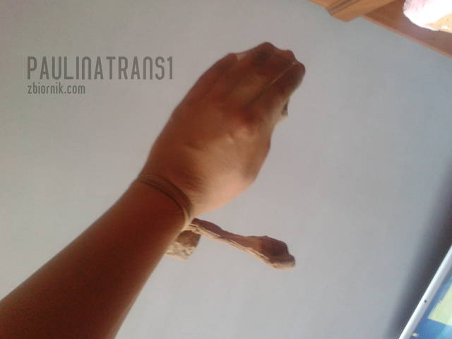 2013-10-07 16.33.07.jpg - paulinatrans1