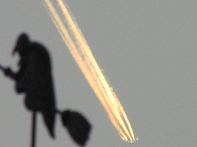 IMG_4052.JPG - wodnik50