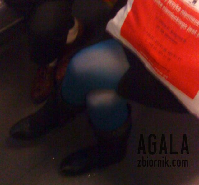 DSC05015kol.jpg - AGALA