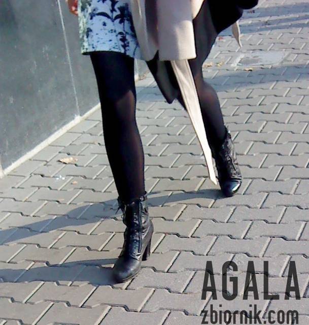 DSC05030cz.jpg - AGALA