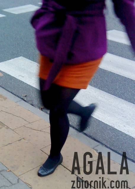 DSC05054cz.jpg - AGALA