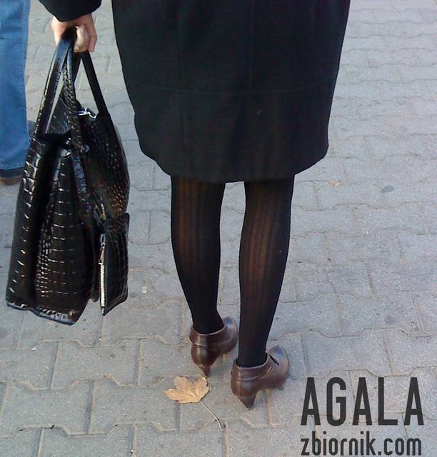 DSC05080odj.jpg - AGALA