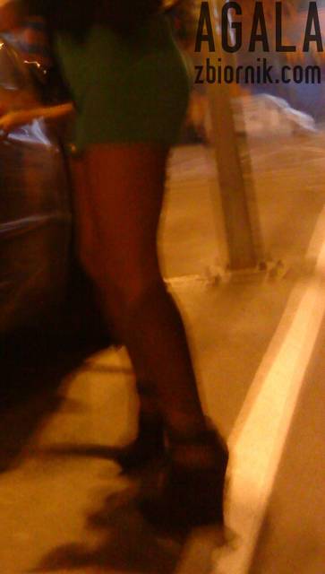 DSC05165kl.jpg - AGALA