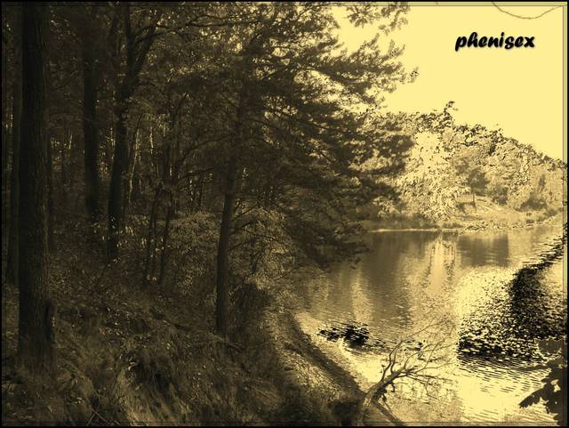 zatoka złamanych serc - phenisex