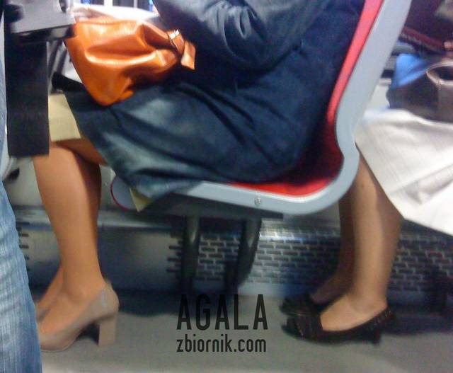 DSC05244kl.jpg - AGALA