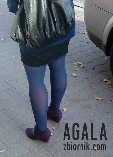 DSC05203kol.jpg - AGALA