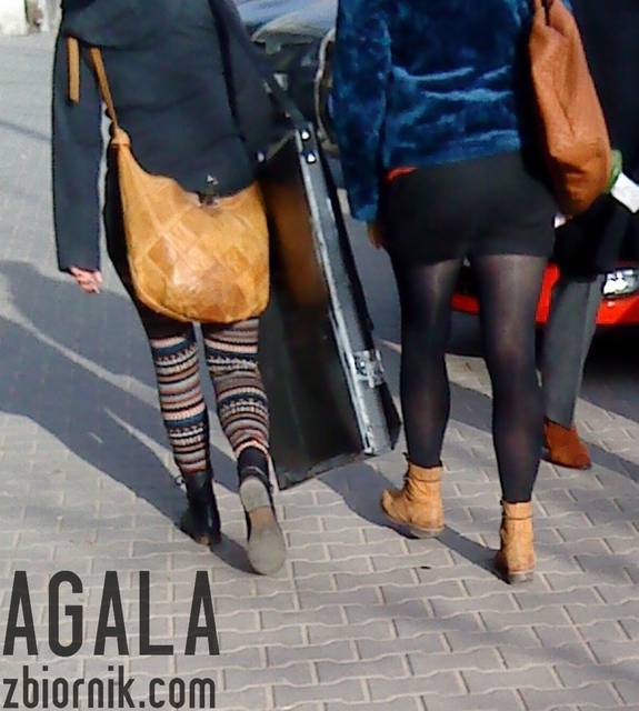 DSC05196odj.jpg - AGALA