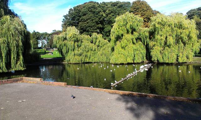 IMAG1447.jpg - markobyd04