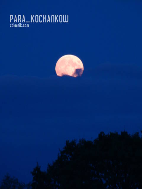 Zapadł wieczór - para_kochankow