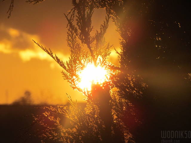 IMG_4398.JPG - wodnik50