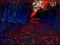 mroczny i wciągający ...