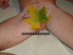 Liście lecą z drzew