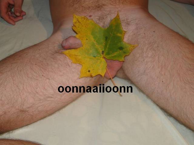 Liście lecą z drzew - oonnaaiioonn