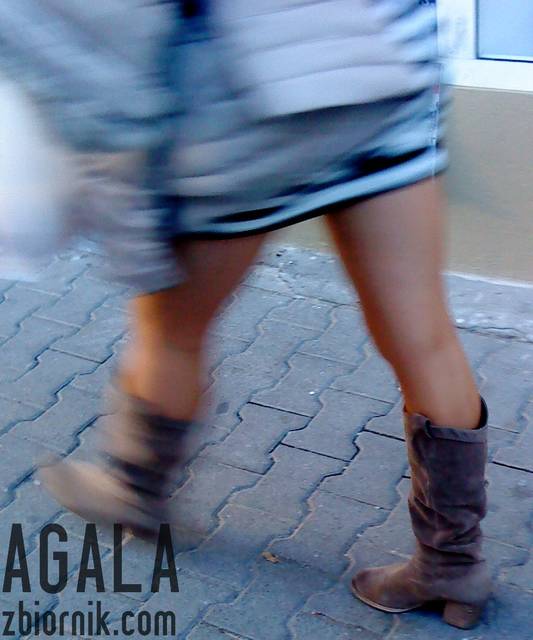 DSC05398kl.jpg - AGALA