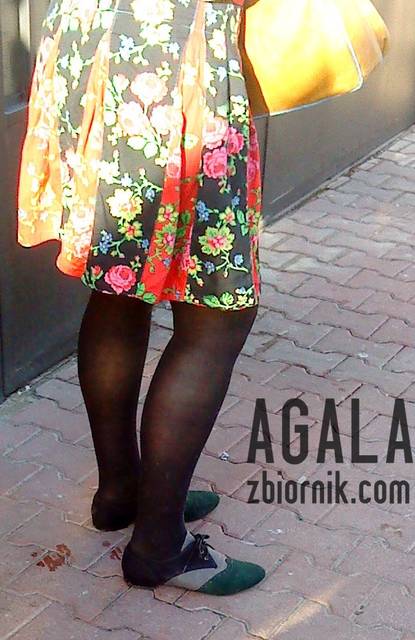 DSC05394cz.jpg - AGALA