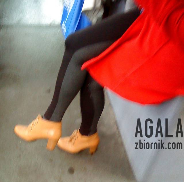 DSC05447L.jpg - AGALA