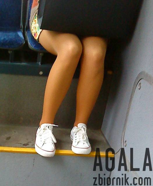 DSC05446kl.jpg - AGALA